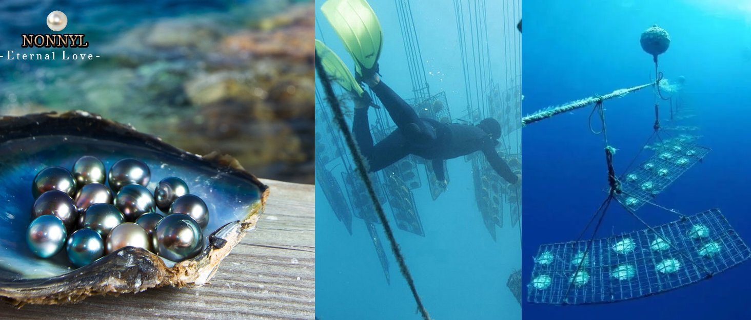 Tahitian Black Pearl Necklace